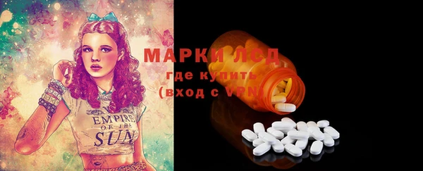 гашик Коряжма