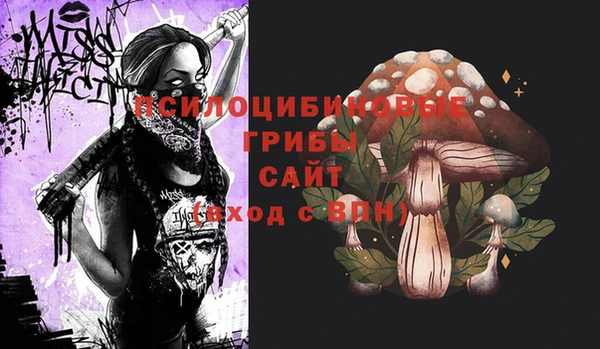 гашик Коряжма