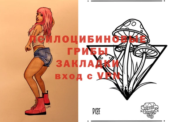 ГАЛЛЮЦИНОГЕННЫЕ ГРИБЫ Всеволожск